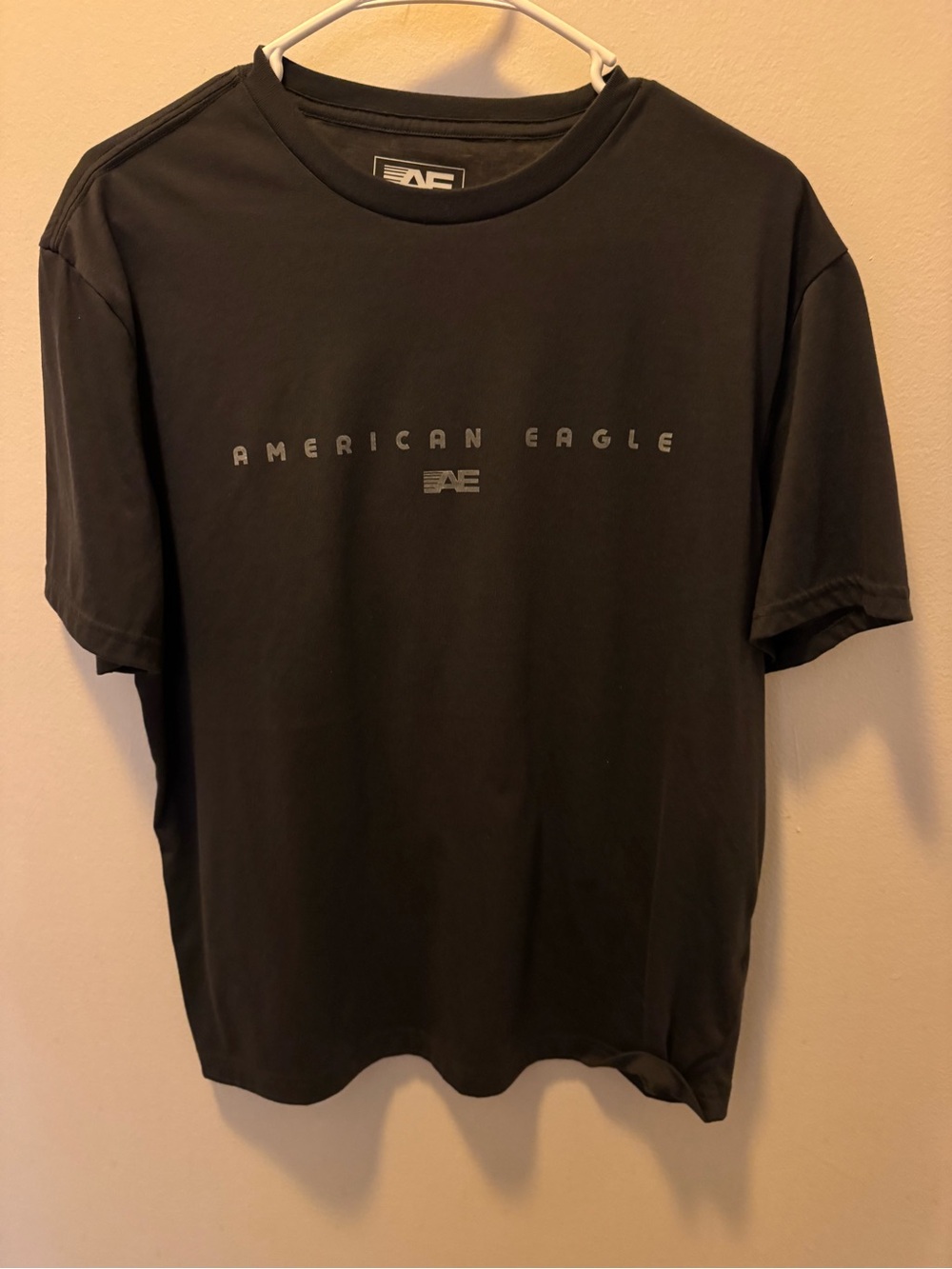 American Eagle Outfitters Men’s grey Graphic Logo Tee